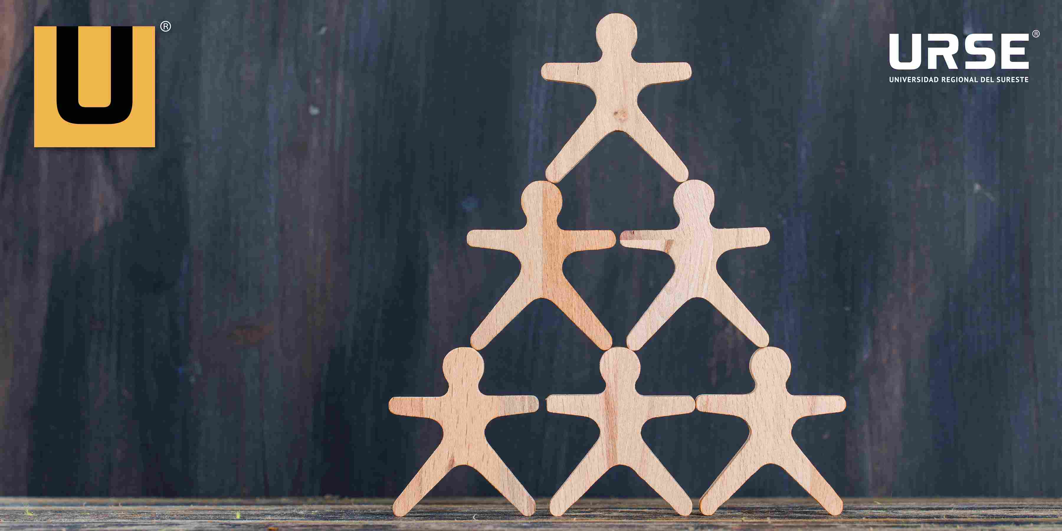 ¿Qué es el capital humano en una empresa? Funciones e importancia